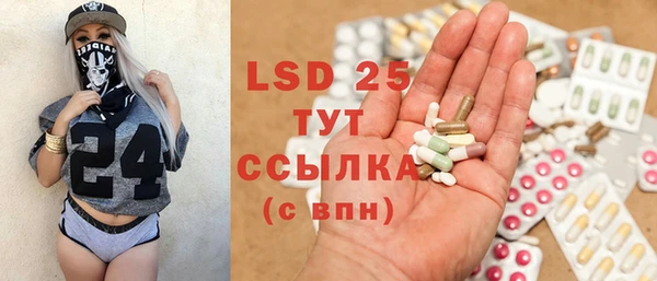 шишки Пересвет