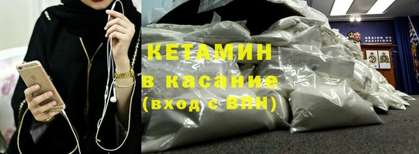 шишки Пересвет
