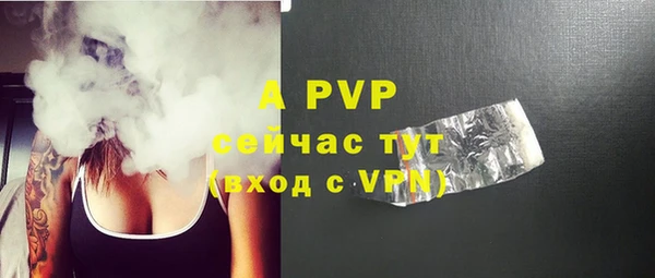 шишки Пересвет
