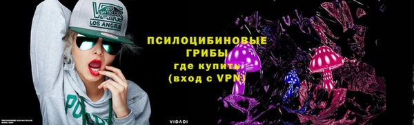 PSILOCYBIN Переславль-Залесский