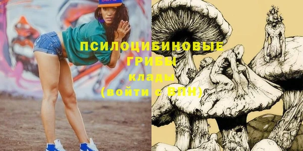 PSILOCYBIN Переславль-Залесский