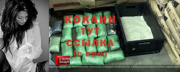 PSILOCYBIN Переславль-Залесский
