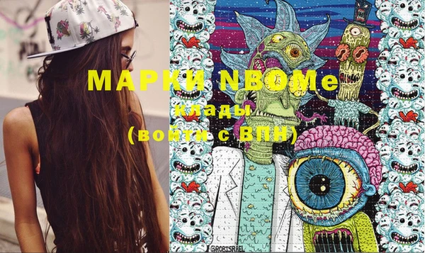 шишки Пересвет