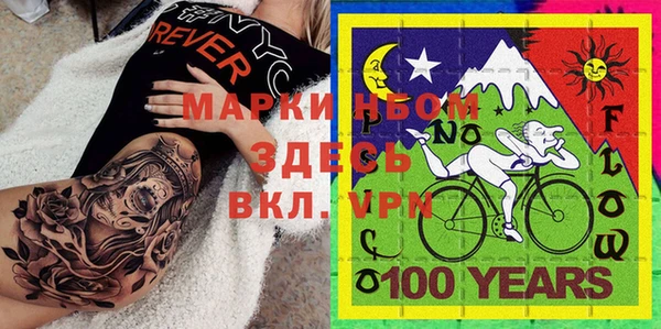 шишки Пересвет