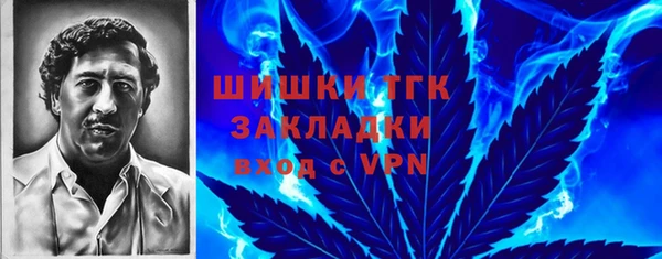 PSILOCYBIN Переславль-Залесский