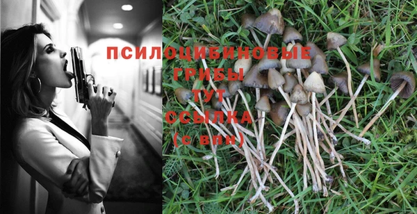 PSILOCYBIN Переславль-Залесский
